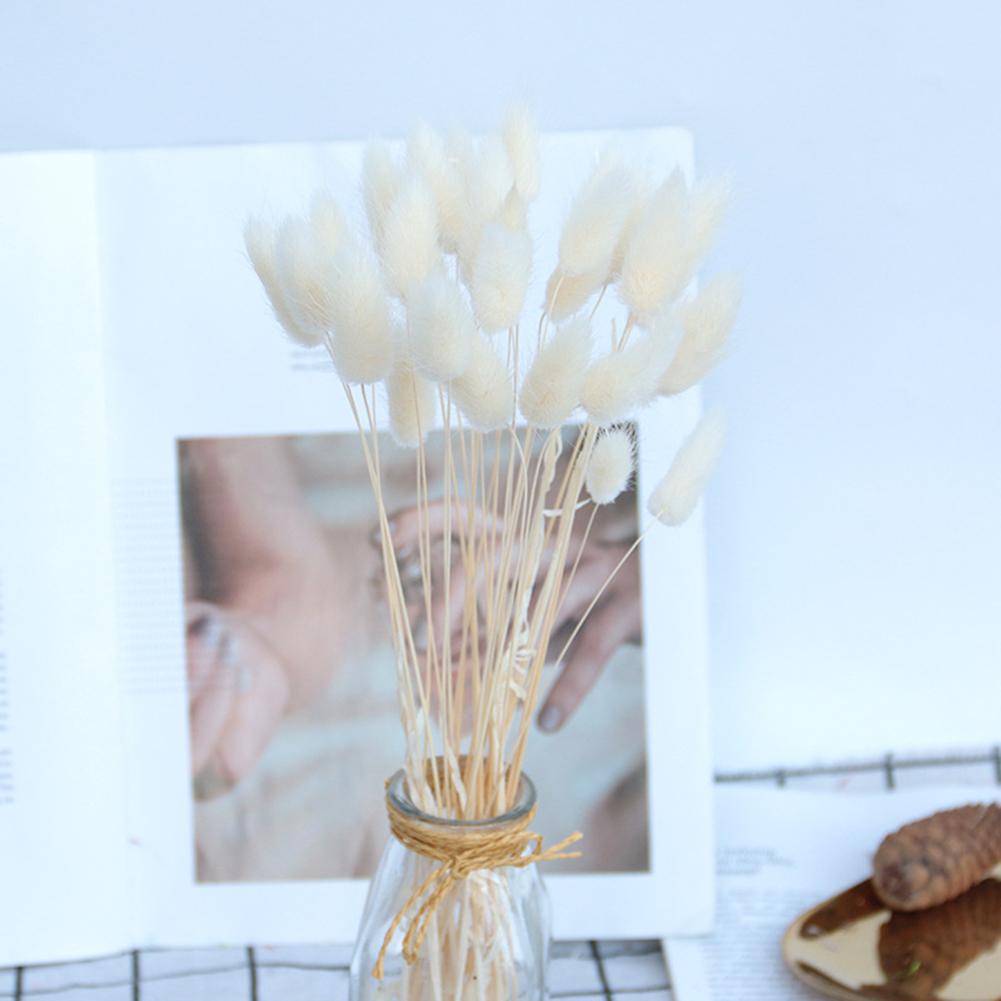30 шт. Разноцветный Кроличий Хвост Сушеные Цветы Литературный Стиль Цветочная Композиция Натуральный Букет из Кроличьего Хвоста Для Вечеринки Домашнего Декора