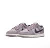 Nike Dunk Low Retro Se 'Light Violet Ore'Dark Raisin Мужские HQ3642-202