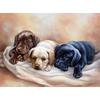 5D Diamond Painting Dog Full Round Drill Diy Diamond Embroidery Picture Mosaic Rhinestone