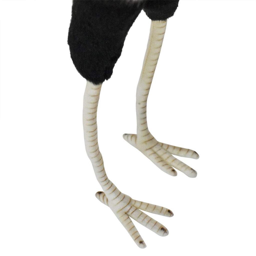 BH7639 HANSA Птица-секретарь 59