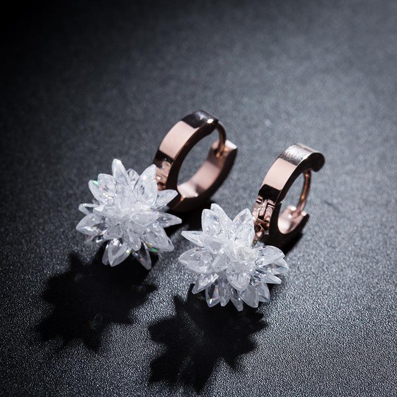 Rose Gold Geometric Titanium Steel Earrings for Women - Stylish, Simple Designs