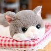 Realistic Grey Cat Plush Toy, 50cm, Large, Fluffy, Soft, Lifelike, Cute, Christmas, Bedding, Plush Toy, Huggable Pillow, Popular, Birthday Present,