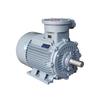 DZ YBE4 Series Explosion-Proof Motor