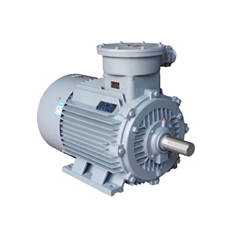 DZ YBE4 Series Explosion-Proof Motor