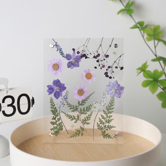 Acrylic Photo Frame Clear Picture Frames Tabletop or Wall Mount Display Frame