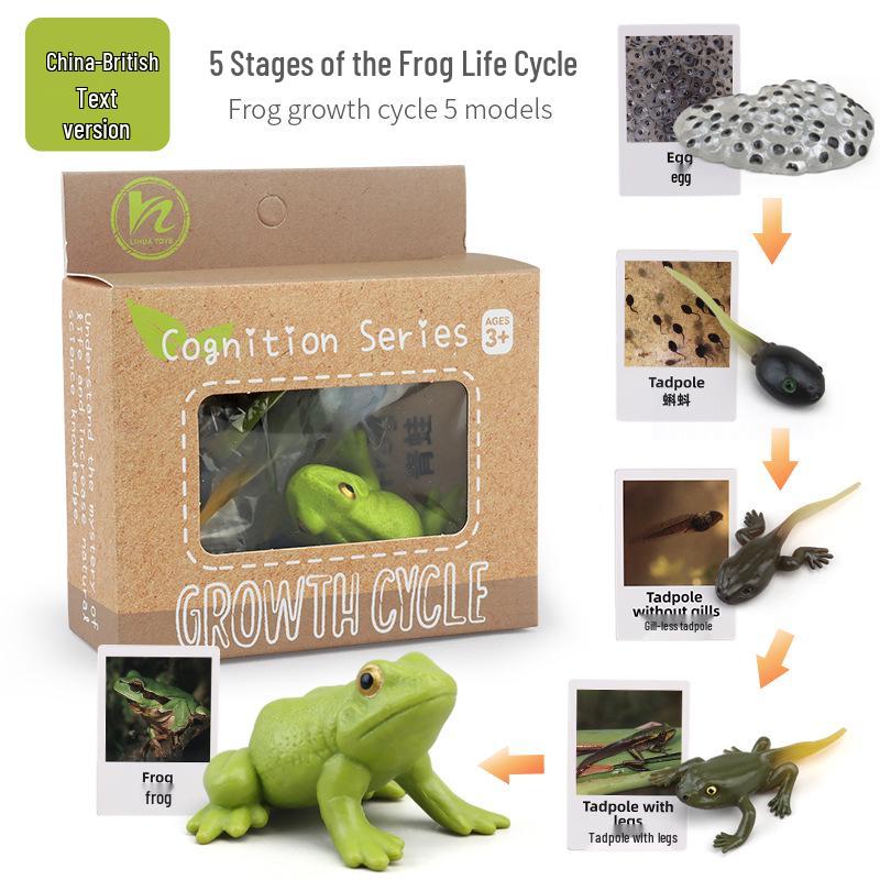 Montessori Animal & Plant Growth Cycle Teaching Toys for Kids