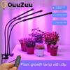 USB Grow Light Full Spectrum Phytolamp For Plants Light USB Phyto Lamp Led Grow Lamp For Seeding Hydroponics Flowers Tent Box Indoor
