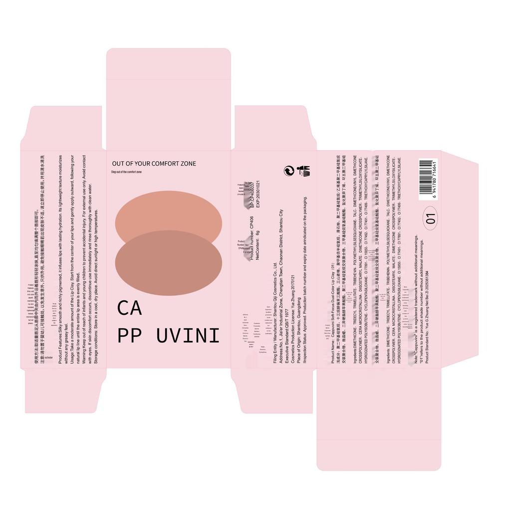 CAPPUVINI Двухцветный матовый тинт-крем для губ и щек с эффектом мягкого фокуса