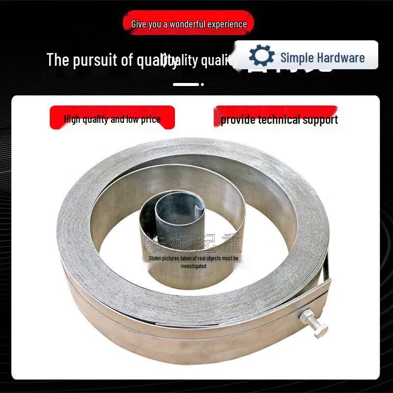 Electric Crane Cable Reel Spring CN plug (adapter included)