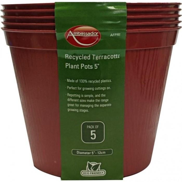 Ambassador Terracotta Plant Pot (Pack of 5)