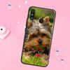 Мини-йоркширский терьер Для Huawei Nova 12i 7i 8i 11i 12s Y73 Y70 Y90 Y60 Y72 Y61 Y91 9 10 SE P30 Pro P40 Lite Чехол