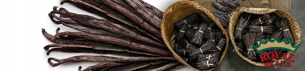 Organic Vanilla Sticks 6 Pieces Premium 15 + Thick