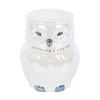 Something Different Iridescent Owl Oil Burner