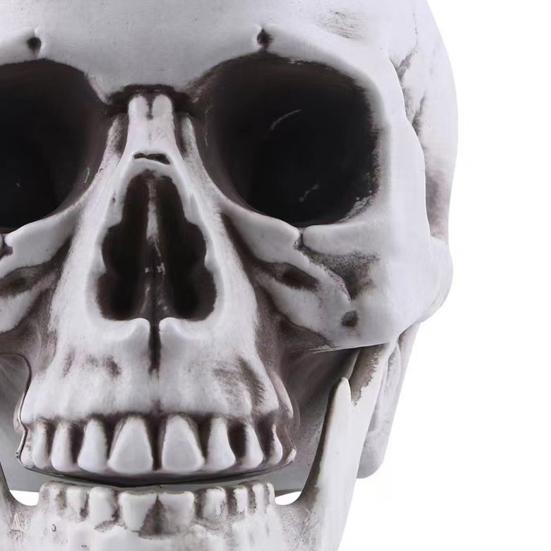 Модель человеческого черепа в натуральную величину, декор на Хэллоуин, скелет, череп, реалистичный человеческий череп для взрослых, модель кости, кладбище, открытый декор