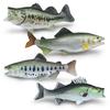 Animal Marine Tuna Salmon Resin Model Toy For Kids Display Gifts Decoration