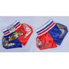 2022 Men's Boxing Pants Printing MMA Shorts Fight Grappling Short Polyester Kick Gel Boxing Muay Thai Pants Thai Boxing Shorts