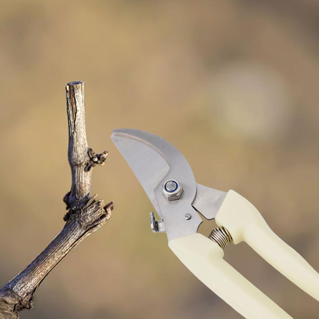 Pruners Stainless Steel Garden Shears Easy To Clean