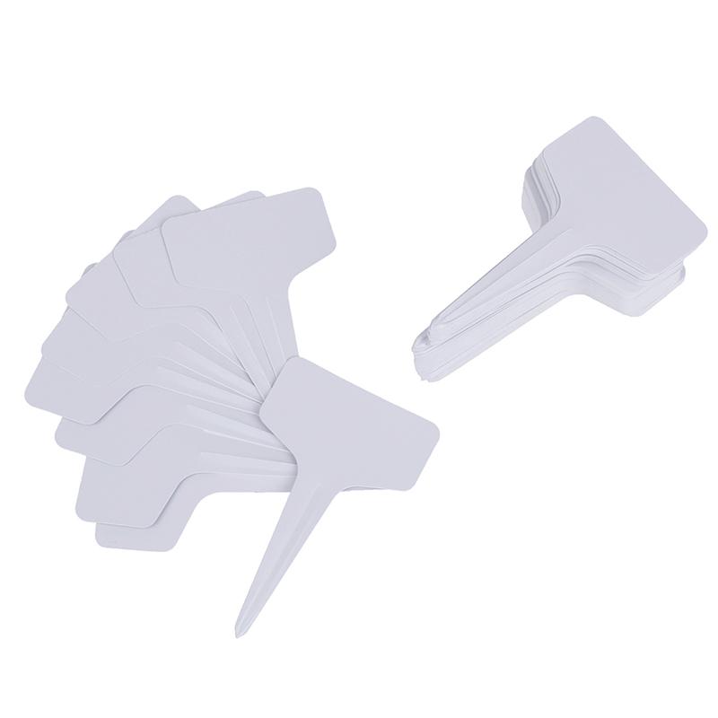 100 Pcs Garden Labels Gardening Plant Classification Sorting Sign Tag Card White
