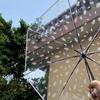 1 Piece of Compact Fully Automatic Transparent Feather Umbrella Suitable for Taking Photos Couple Umbrella Windproof Rainproof S