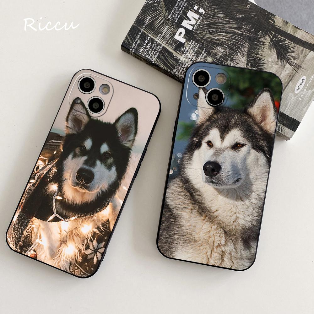 ДЛЯ IPhone милый аляскинский пес Чехол для телефона ДЛЯ IPhone 14 11 12 Pro 8 7 Plus SE X Pro 14 MAX 12 13 MINI XR XS iphone 14 Чехлы для телефона