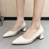 Fashion High Heels Women 2024 New Korean Style Pointed Shallow Mouth Thick Heel Fashion Shoes Sapatos De Mujer