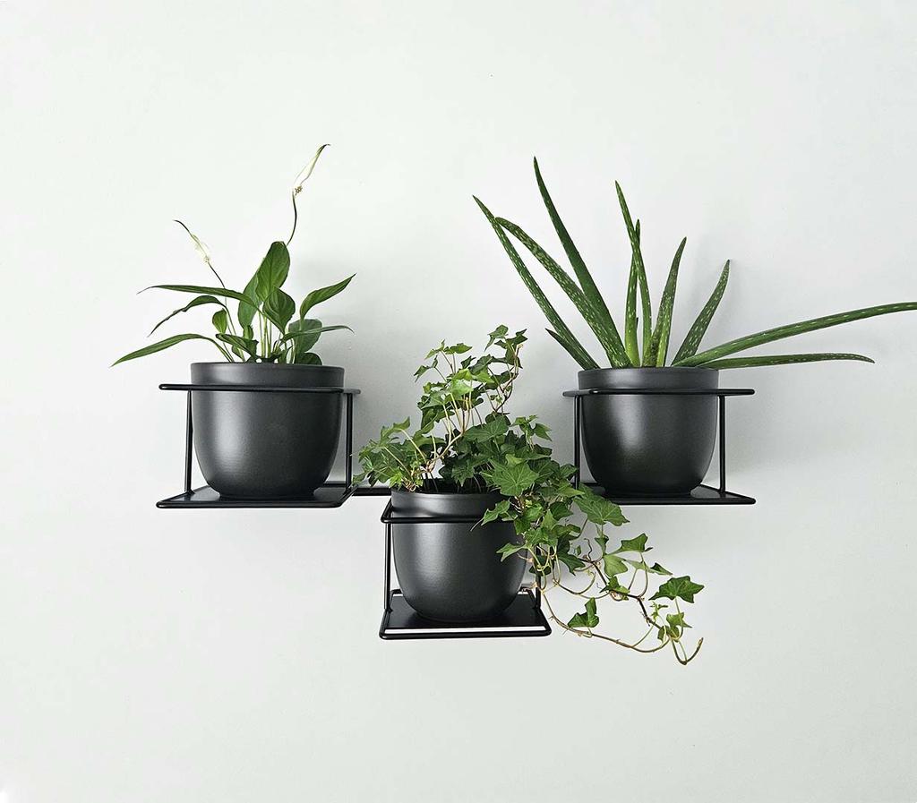 Jungle Hanging Wall Flower Stand, Modern Metal Holder for 3 Pots, Black, Horizontal