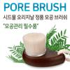 Seed water pore brush