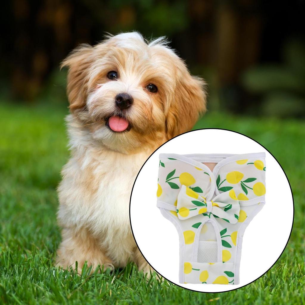 Подгузники для собак Трусики от течки Удобные Многоразовые Непромокаемые Пеленки Защита Легко чистить Собаки