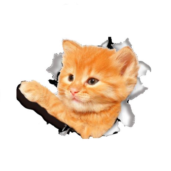 Автомобильные 3D забавные наклейки с изображением кошки или собаки, наклейки на тело, царапины, авто наклейки