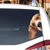 Автомобильная наклейка Бигль Домашняя Собака Животное Мультяшная Автомобильная Наклейка Водонепроницаемая Стайлинг Автомобилей Мотоциклов Внешние Аксессуары Виниловые Наклейки JM40