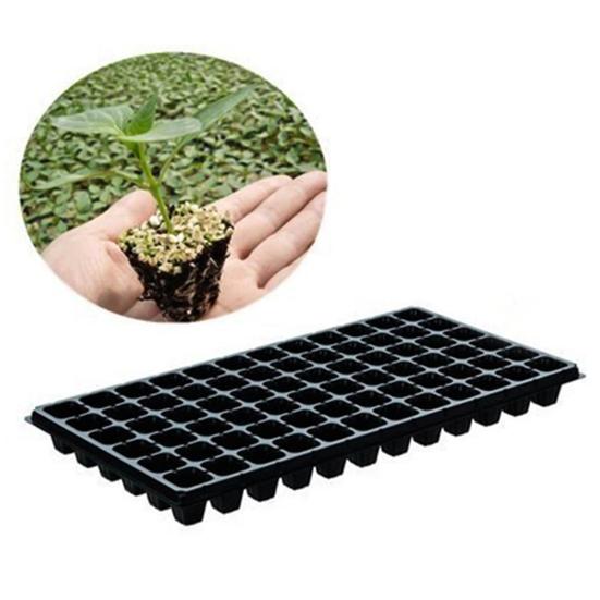 5Pcs Succulent Tray Breathable Long Lasting Portable Plants Germination Tray for Succulent