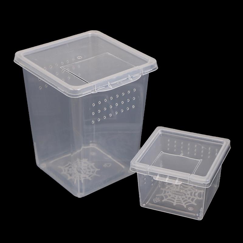 Plastic Insect Spider Habitat Feeding Box Case Container Tank Transport Case Toy
