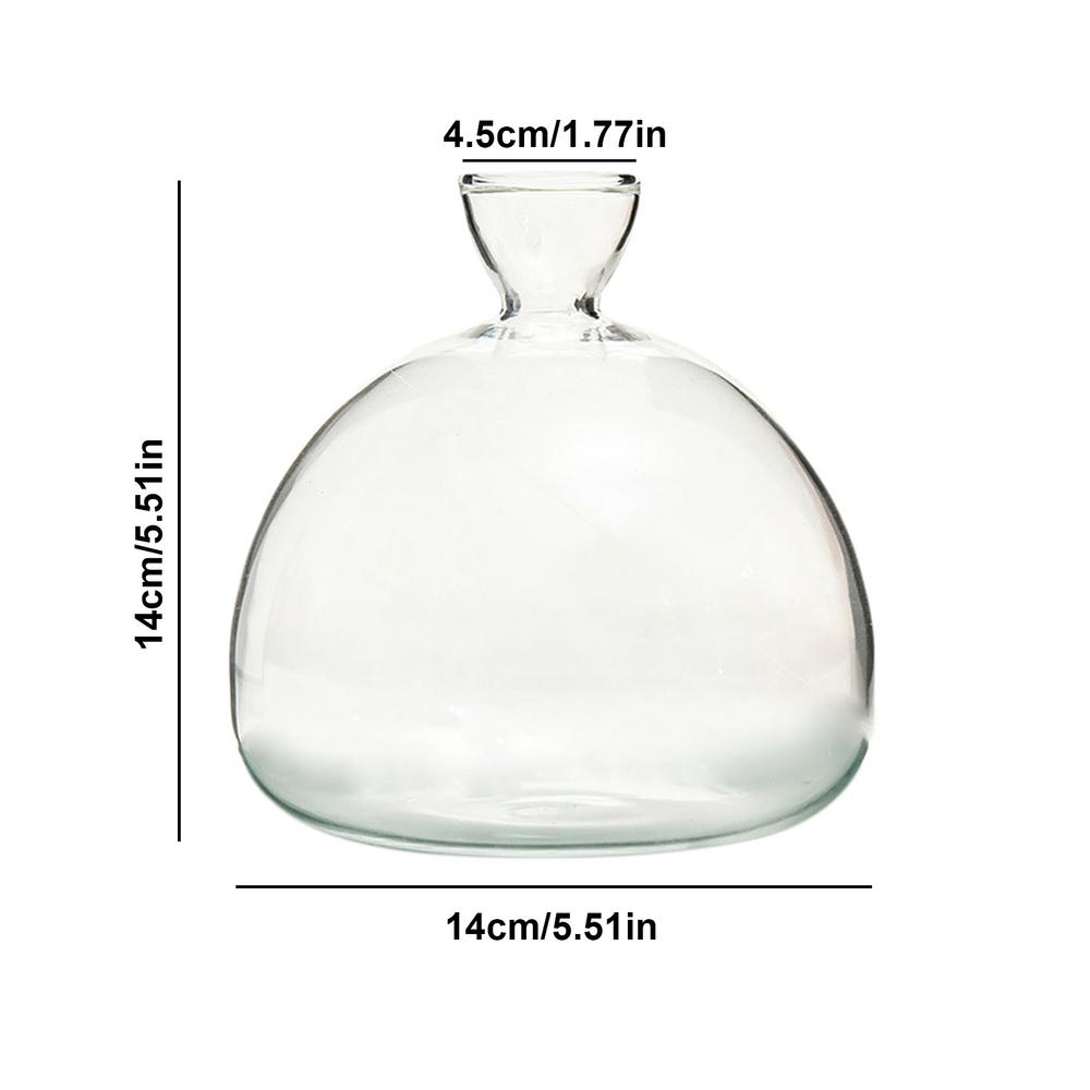 Ваза для закваски семян авокадо Ваза для выращивания семян авокадо, набор для выращивания семян авокадо, стекло для растений с наклейками, подарок для любителей садоводства