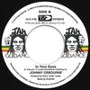 7-дюймовая пластинка JOHNNY OSBOURNE / ROOTS RADICS - In Your Eyes / Dangerous Match Four VP9650 Jah Guidance/VP 1982 США Регги, Ска и Даб