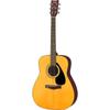 F-310P NAT Acoustic Guitar with Accessory Set