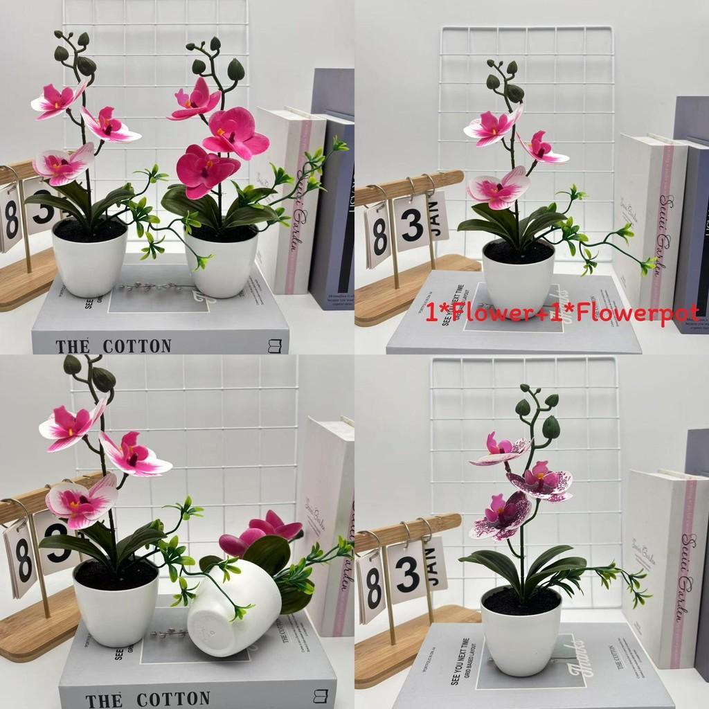 Butterfly Orchid Artificial Plant Home Decor Wedding Photography Prop With Plastic Material For Indoor Use