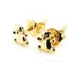 Les Trésors De Lily [F9208] - Gold Plated 'Teddies' Earrings - 5x5 Mm