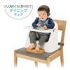 Richell Baby Chair Fiji Mint Blue (Ages 6 Months To 3 Years)