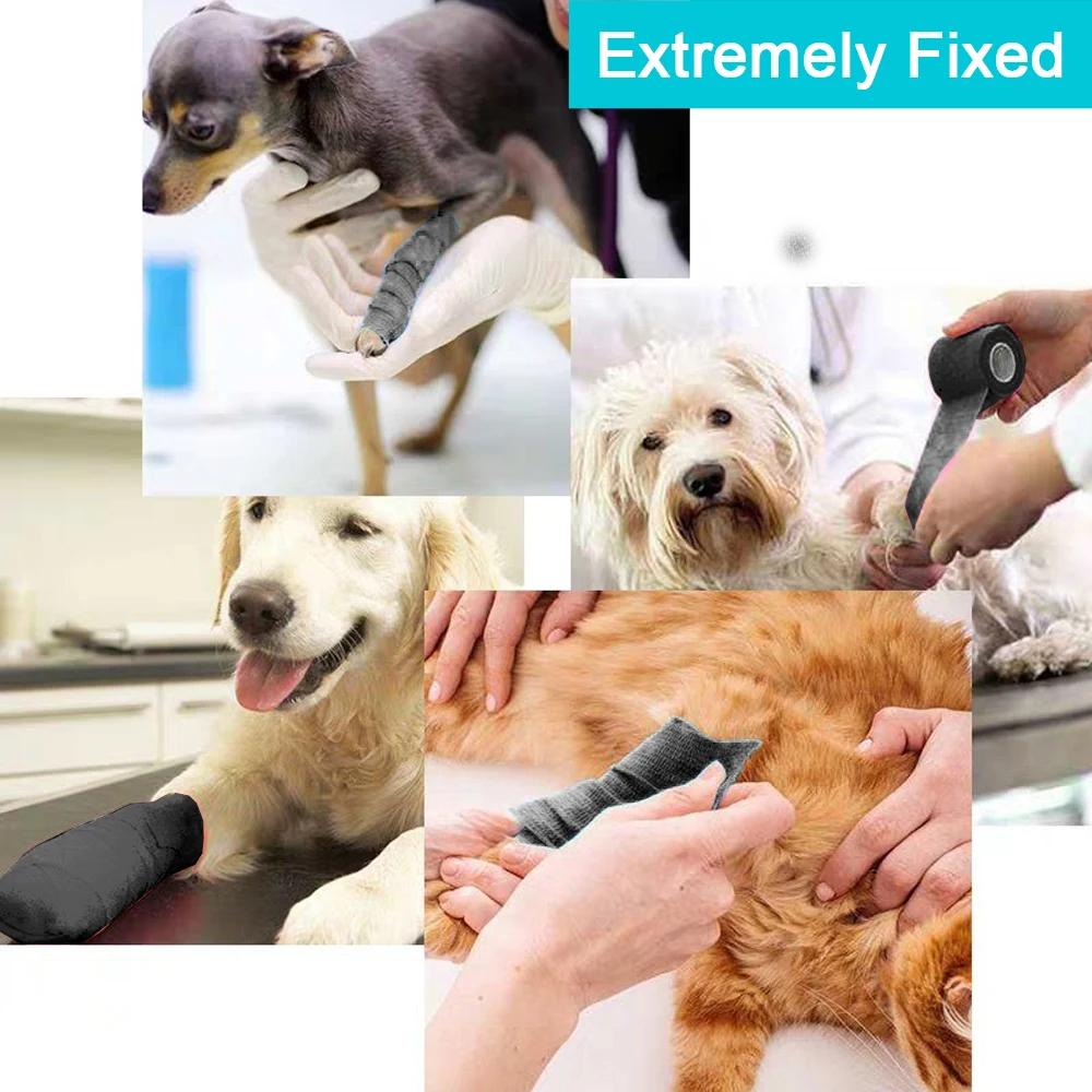 10 Rolls Cohesive Self-Adhesive Bandage Wrap Tape for Sports Injury Support Knee Ankle Wrist Shoulder Tattoo Aftercare Bulk Pack