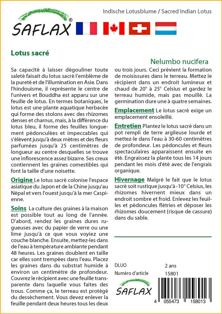 SAFLAX Garden in the Bag - Священный индийский лотос - 8 семян - С субстратом в подходящем пакете - Nelumbo nucifera