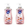 Dial Hand Soap 221ml 2-Pack Himalayan Salt Dial Liq Handsoap A/B Pink 7.5 Oz, pack of 2