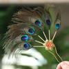 Headwear Hairstyle Design Tool Peacock Feather Hairpin Hair Accessories Ethnic Dance Hair Stick