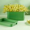 Soilless Cultivation Sprouts Growing Tray Horticultural Tool Sprouting Tray Hydroponic System