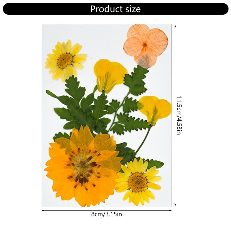 32Pcs Realistic Flower Pressed Florals Kits 4 Pack Natural Florals Craft Supplies For Resin Decorations And Gifts