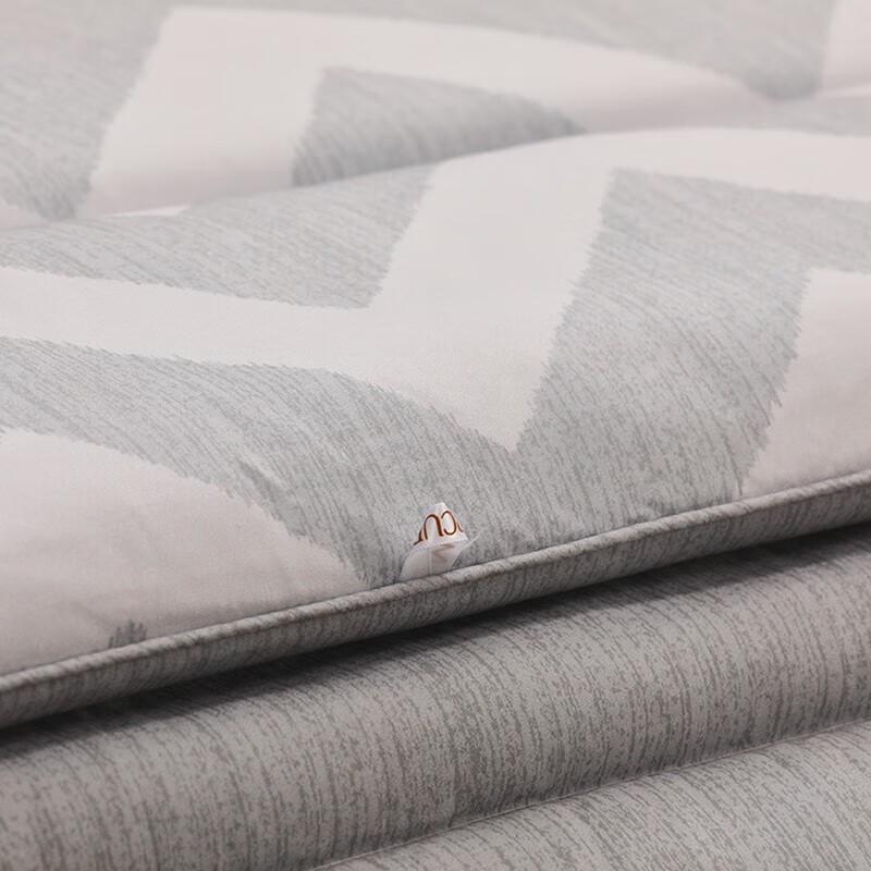 Mercury Home Textiles Negative Ion Antibacterial Winter Quilt