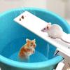 Trap Catch Mouse Rat Trap Catch Walk The Plank Humane Bucket Mice Auto New Reset