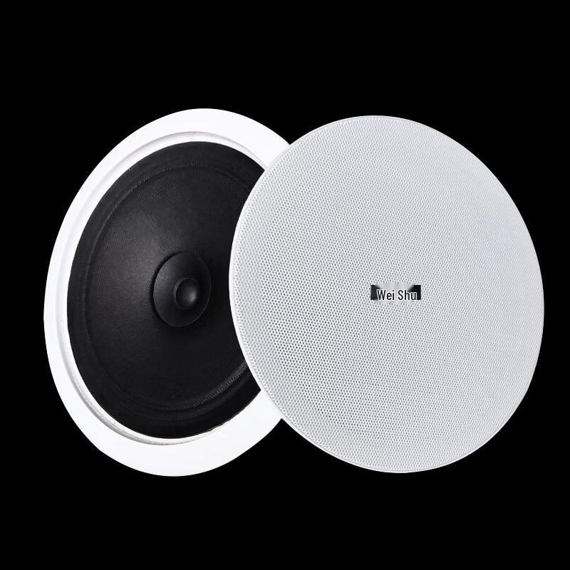 Weishu Professional Audio Loudspeakers (CN version)