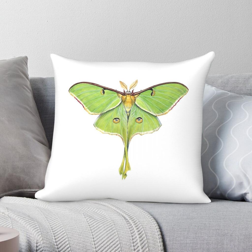 Male Luna Moth Pillowcase Polyester Linen Velvet Pattern Zip Decor Sofa Seater Cushion Cover x