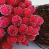 10Pcs Artificial Fruit Berries DIY Stage Home Garden Holiday Party Craft Decor