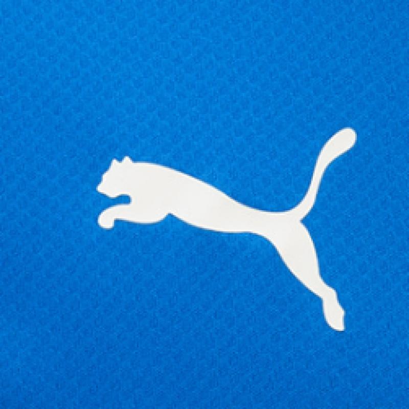 Puma Galleria Puma Team Goal Мужская футболка S Round с коротким рукавом синяя